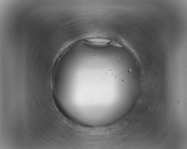 X0000066930011200604071858