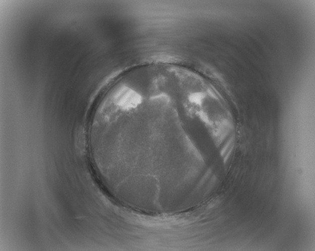 X0000066930012200604071858