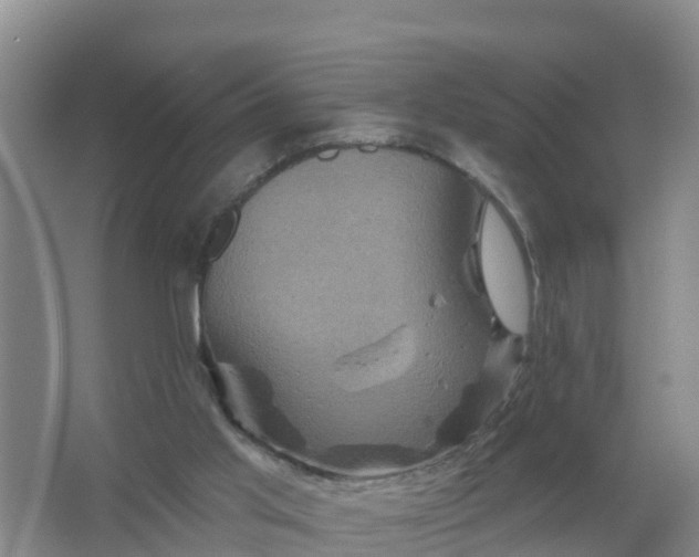 X0000066930013200604071858