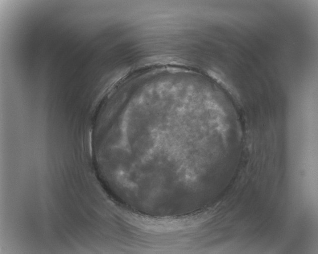 X0000066930014200604071858