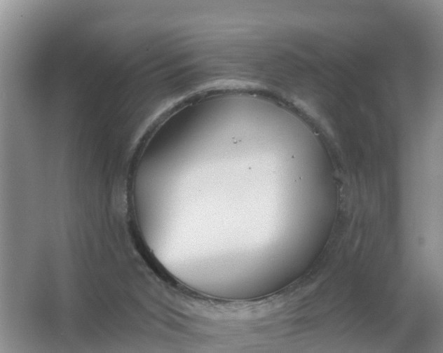 X0000066930015200604071858