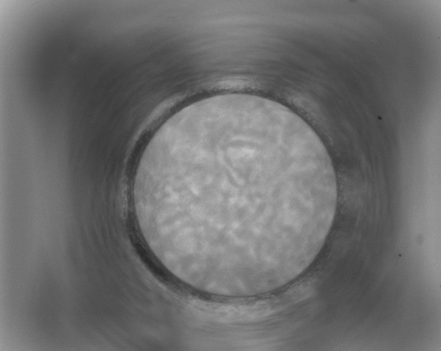 X0000066930016200604071858