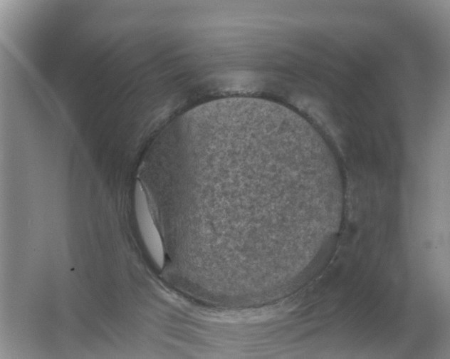 X0000066930017200604071858