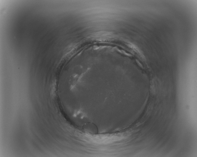 X0000066930018200604071858