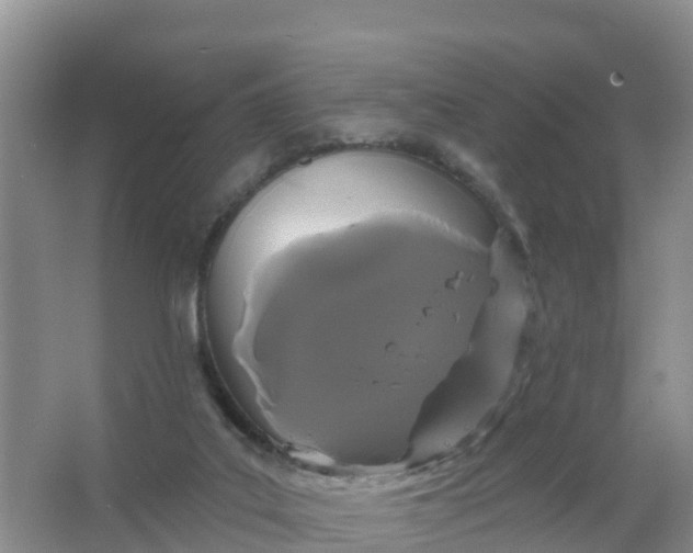 X0000066930019200604071858