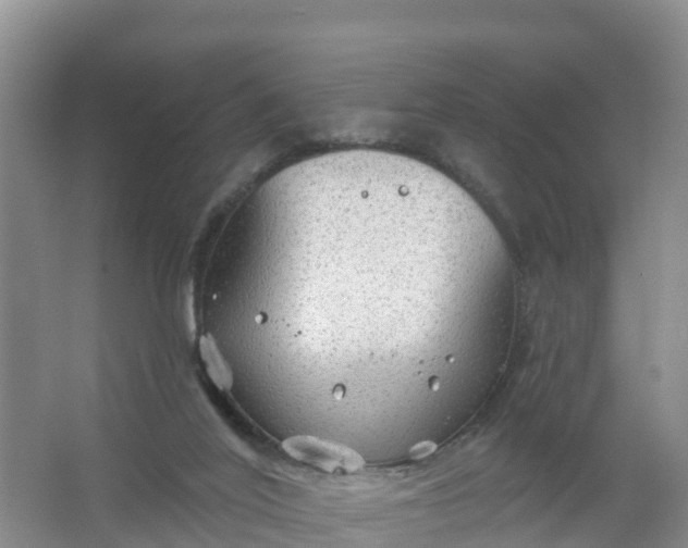 X0000066930020200604071858