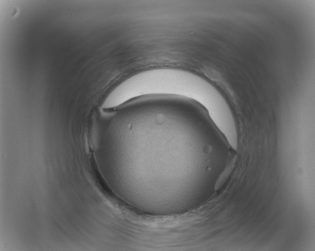 X0000066930021200604071858