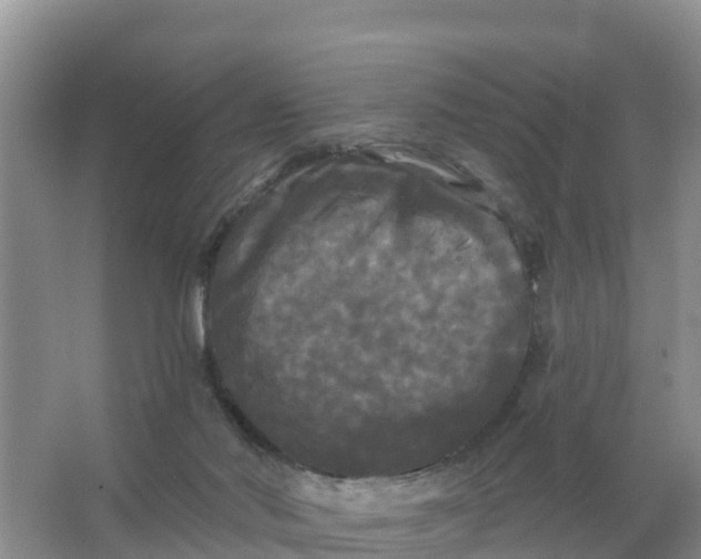 X0000066930022200604071858