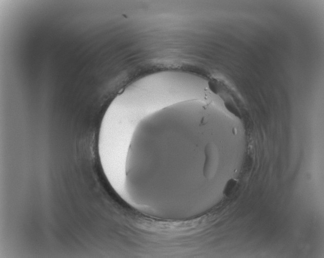 X0000066930023200604071858