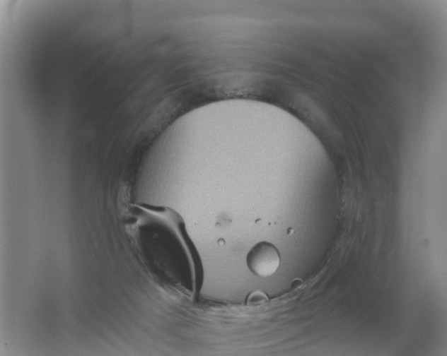 X0000066930025200604071858