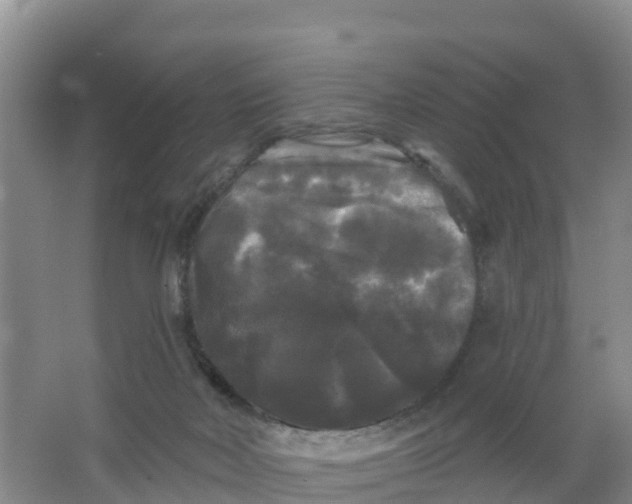 X0000066930026200604071858