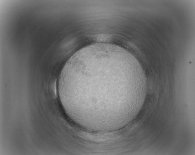 X0000066930028200604071858