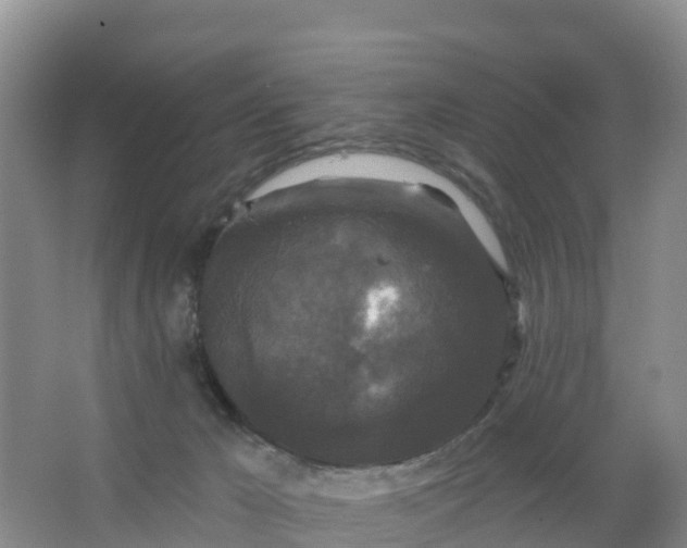 X0000066930029200604071858