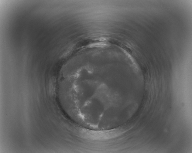 X0000066930030200604071858