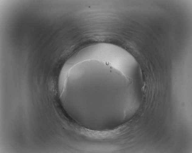 X0000066930031200604071858