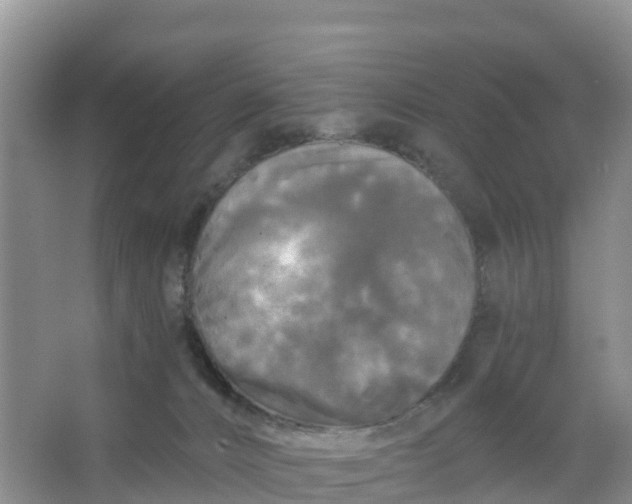 X0000066930032200604071858