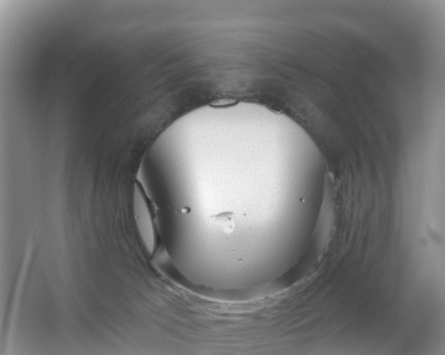 X0000066930033200604071858