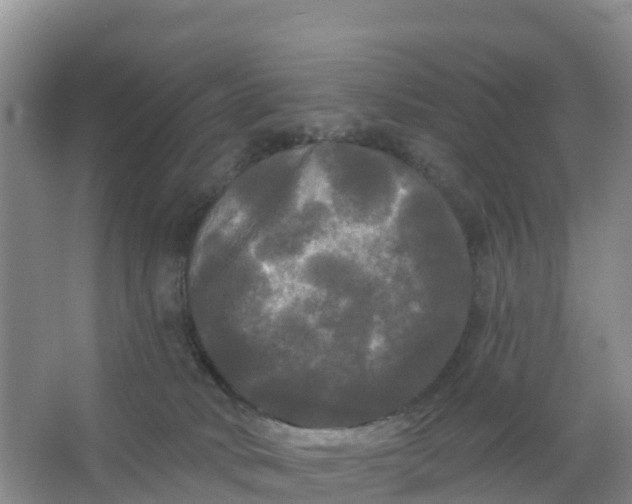 X0000066930034200604071858