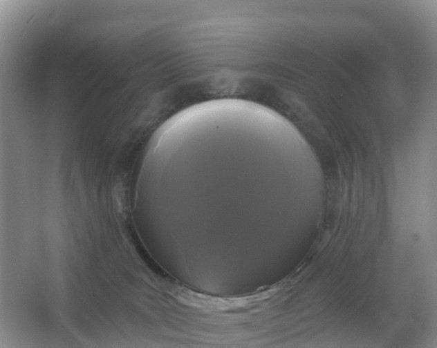 X0000066930035200604071858