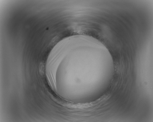 X0000066930036200604071858