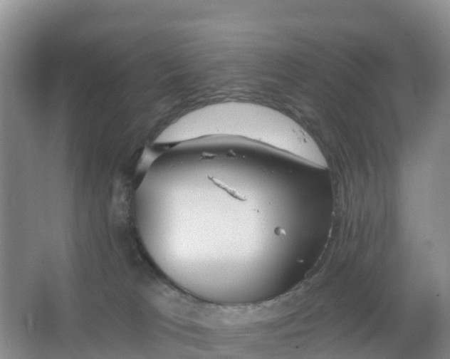 X0000066930037200604071858