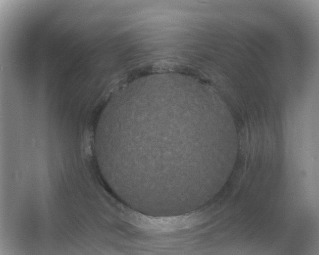 X0000066930038200604071858