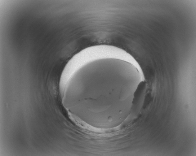 X0000066930039200604071858