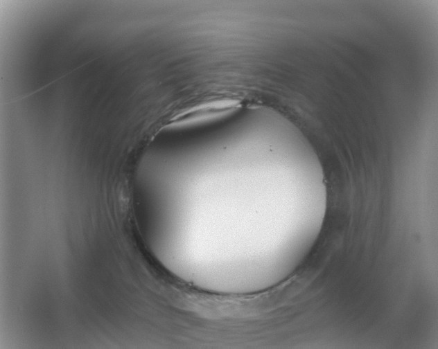 X0000066930040200604071858