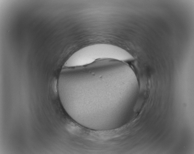 X0000066930041200604071858