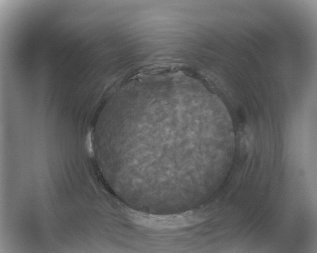 X0000066930042200604071858