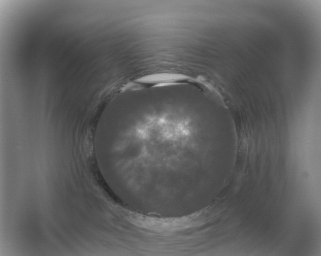 X0000066930043200604071858