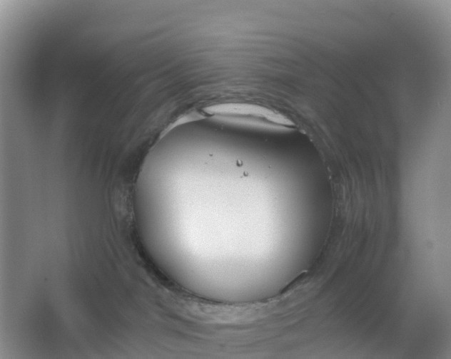 X0000066930044200604071857