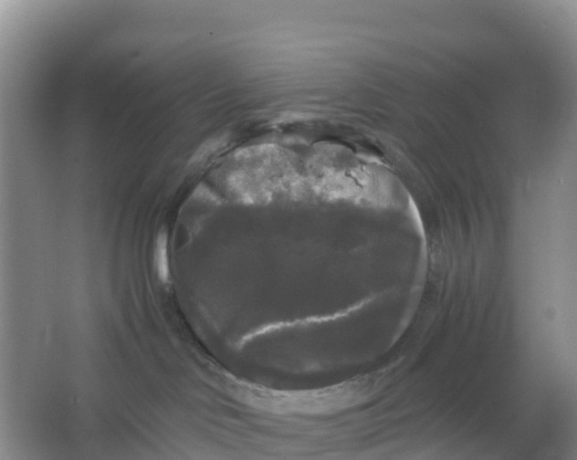 X0000066930046200604071857