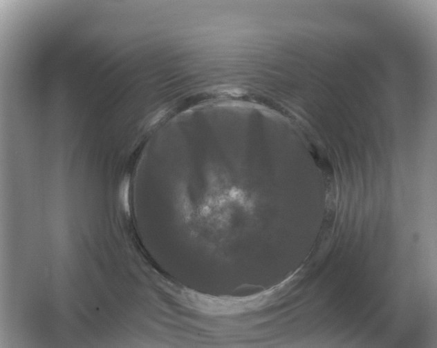 X0000066930047200604071857