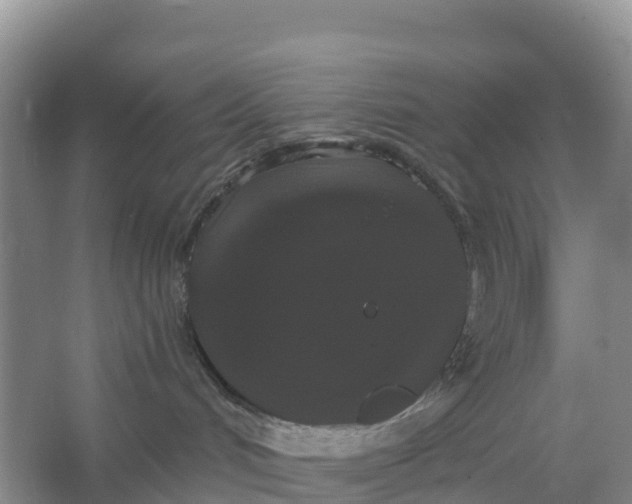 X0000066930048200604071857