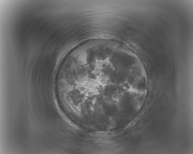 X0000066930049200604071857