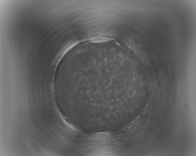 X0000066930050200604071857