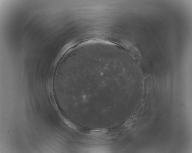 X0000066930051200604071857