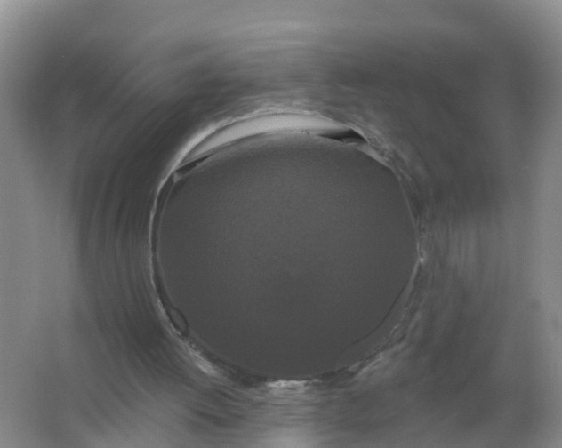 X0000066930052200604071857