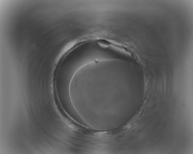 X0000066930054200604071857