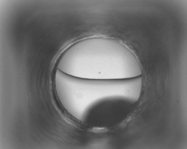 X0000066930055200604071857