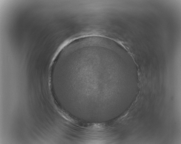 X0000066930056200604071857