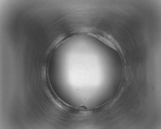 X0000066930057200604071857