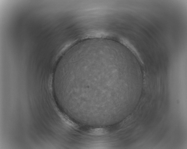 X0000066930058200604071857