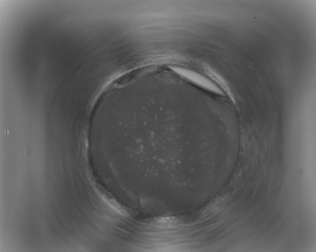 X0000066930059200604071857