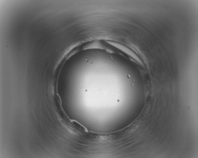 X0000066930060200604071857