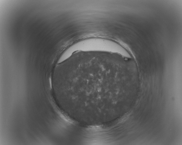 X0000066930061200604071857