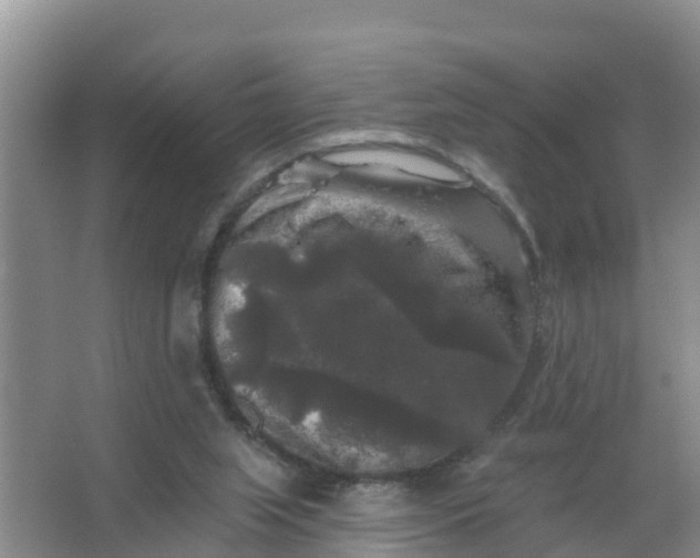 X0000066930063200604071857