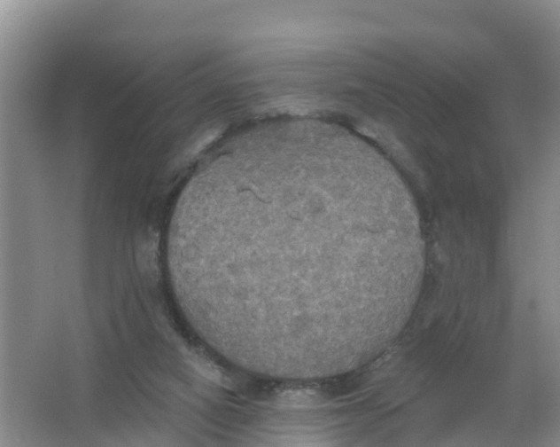 X0000066930066200604071857