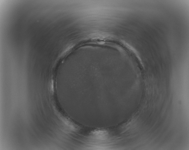 X0000066930067200604071857